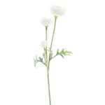 Artificial branch Ranunculus TRITO, cream, 14"/35cm