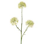 Artificial Allium ALIKIO, white, 65cm, Ø7cm