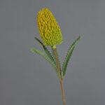 Künstliche Blume Banksia robur EREDIN, gelb-grün, 70cm, Ø7cm