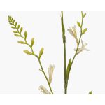 Kunstblume Montbretie KATHERYN, creme, 90cm