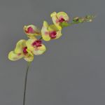 Textile branch Phalaenopsis orchid DAJANA, yellow-fuchsia, 31"/80cm, Ø2.4"-4.3"/6-11cm