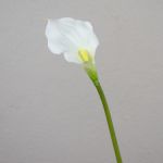 Decorative calla flower PEPITA, white, 22"/55cm, 2.8x4.3"/7x11cm