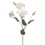 Artificial Lisianthus RENARA, white, 75cm
