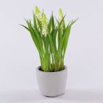 Fake flower Grape hyacinth NARMADA in a cement pot, white, 8"/20cm