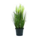 Decorative pampas grass TIMEA with panicles, green, 24"/60cm