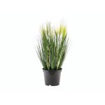 Decorative pampas grass TIMEA with panicles, green, 24"/60cm