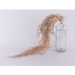 False Tillandsia Usneoides DNISTER on spike, gold, 3ft/100cm
