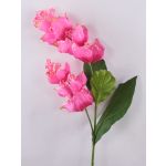 False flowering branch Medinilla LASENTER, pink, 4ft/110cm