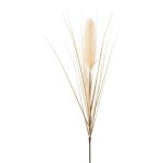 Decorative pampas grass panicle WALNIN, beige, 3ft/100cm