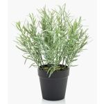 Artificial rosemary WHOOPI in decorative pot, green, 10"/25cm