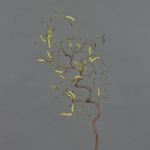 Decorative hazelnut branch XANCHO with catkins, brown, 26"/65cm
