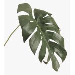 Decorative Philodendron Monstera Deliciosa leaf UMBERTO, 22"/55cm