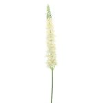 False flower Lupine KALAMATA, cream, 4ft/110cm