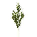 Artificial branch Butcher's broom SNERLO, green, 28"/70cm