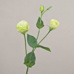 Artificial Lisianthus branch RINARA, cream-green, 26"/65cm