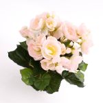 Silk flower begonia IVANA on spike, pink-white, 8"/20cm, Ø 1.2"-2"/3-5cm