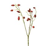 Decorative wild rose branch XINGRUI with rose hips, red, 18"/45cm