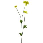 Decorative Chrysanthemum YUNJUAN, yellow, 24"/60cm