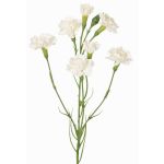 Decorative carnation branch PIARA, white, 60cm, Ø3–5cm