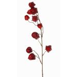 Faux physalis branch AINOS, fruits, glitter, burgundy, 31"/80cm
