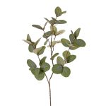 Artificial eucalyptus branch EMMENDA, green, 80 cm
