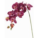 Artificial flower branch Phalaenopsis orchid WESA, dark violet-white, 35"/90cm, Ø4.3"-4.9"/11-12.5cm
