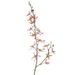 Artificial flower branch Cattleya orchid TRASSA, fuchsia-white-yellow, 31"/80cm