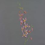 Artificial flower branch Cattleya orchid TRASSA, fuchsia-white-yellow, 31"/80cm