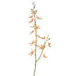 Artificial flower branch Cattleya orchid TRASSA, orange-yellow-red, 31"/80cm, Ø1.6"-3.1"/4-8cm