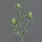 Artificial thistle SVEA, green, 16"/40cm, Ø 0.8"-1.2"/2-3cm