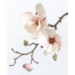 Artificial magnolia MALBINE, white-pink, 20"/50cm, Ø 2.4"-4"/6-10cm