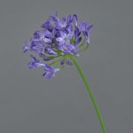 Artificial Agapanthus PHILINA, purple, 30"/75cm, Ø 5.5"/14cm