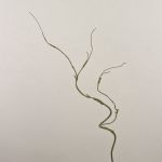 Künstlicher Korkenzieherweide Zweig TONY, grün-braun, 90cm