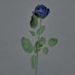 False rose FREIDA, Eco Collection, royal blue, 24"/60cm, Ø1.6"/4cm