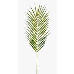 Decorative bamboo palm frond ALUVIAL, 30"/75cm