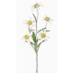Artificial flower Alpine Edelweiss SOPHIA, white, 16"/40cm, Ø 2"-2.4"/5-6cm