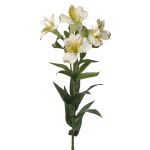 Decorative Peruvian lily AUBERTA, green-white, 30"/75cm, Ø 2.4"/6cm