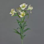 Decorative Peruvian lily AUBERTA, green-white, 30"/75cm, Ø 2.4"/6cm