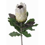 Textile flower Protea NELLI, white-yellow, 30"/75cm, Ø 3.1"/8cm