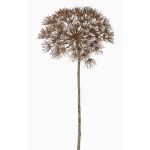 Plastic Heracleum ANSARI, brown, 31"/80cm, Ø 9"/22cm
