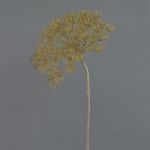 Plastic Heracleum ANSARI, brown, 31"/80cm, Ø 9"/22cm
