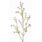 Artificial wax flower NIANG, cream, 31"/80cm, Ø0.6"-1"/1.5-2.5cm
