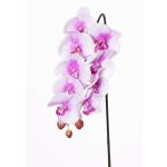 Artificial orchid spray ENISA, pink-white, 24"/60cm, Ø2.8"-3.1"/7-8cm