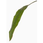 Decorative Cordyline leaf ELARA, green, 35"/90cm