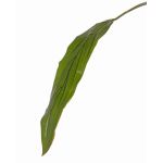 Decorative Cordyline leaf ELARA, green, 3ft/90cm