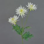 Artificial chrysanthemum SOLVIE, cream, 28"/70cm, Ø 3.9"/10cm
