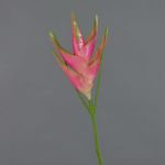 Fake Heliconia flower TOMKE, pink-green, 31"/80cm, Ø 12"/30cm