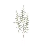Decorative Asparagus acutifolius branch HANS, green, 28"/70cm