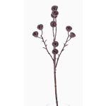 Decorative eucalyptus spray BASILIUS with fruits, brown, 24"/60cm
