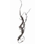 Decorative corkscrew willow branch JACE, brown-grey, 22"/55cm